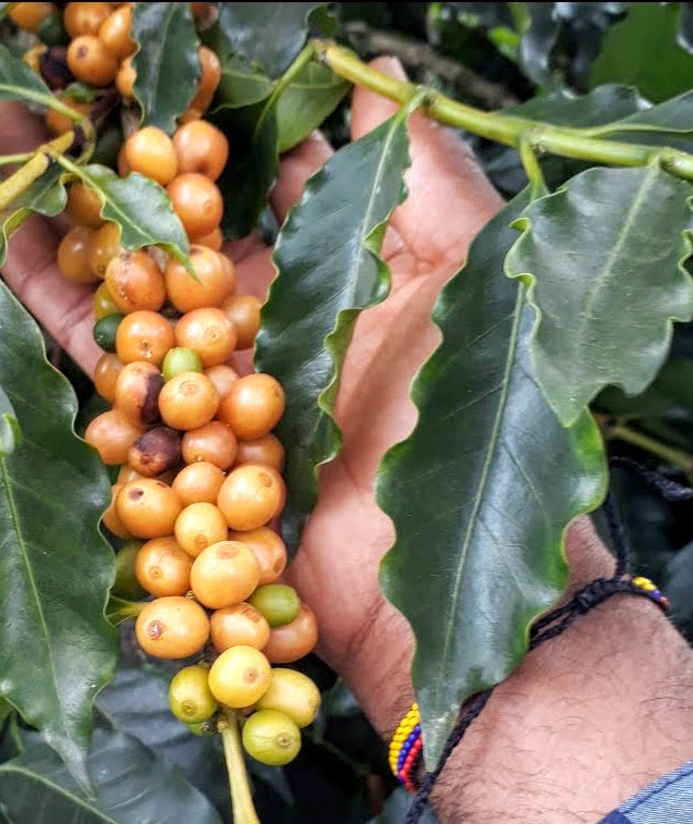 Screenshot_20210119-212537_Photos