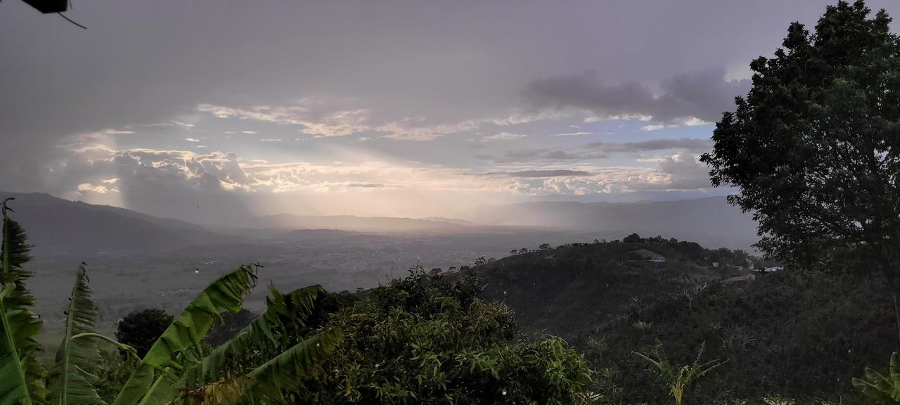 Finca Cultivares - Taster's Producer Coffee Roasters