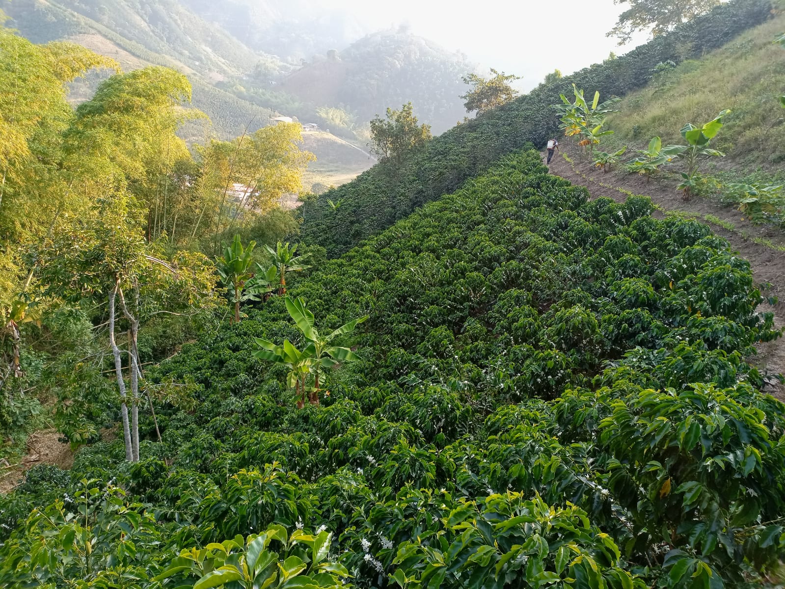 c100-007