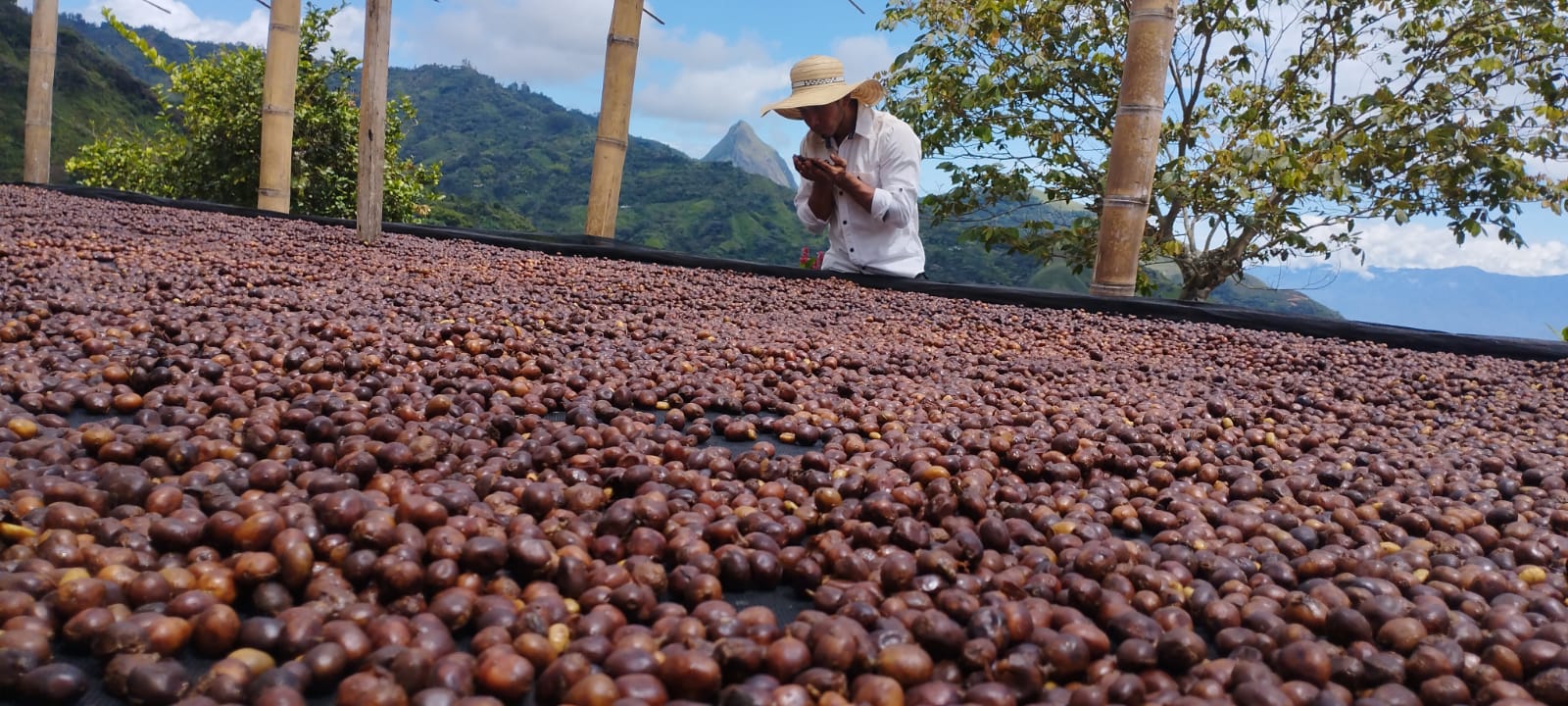 Finca Plan Bonito